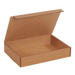 Cardboard Literature Mailer 12-1/8